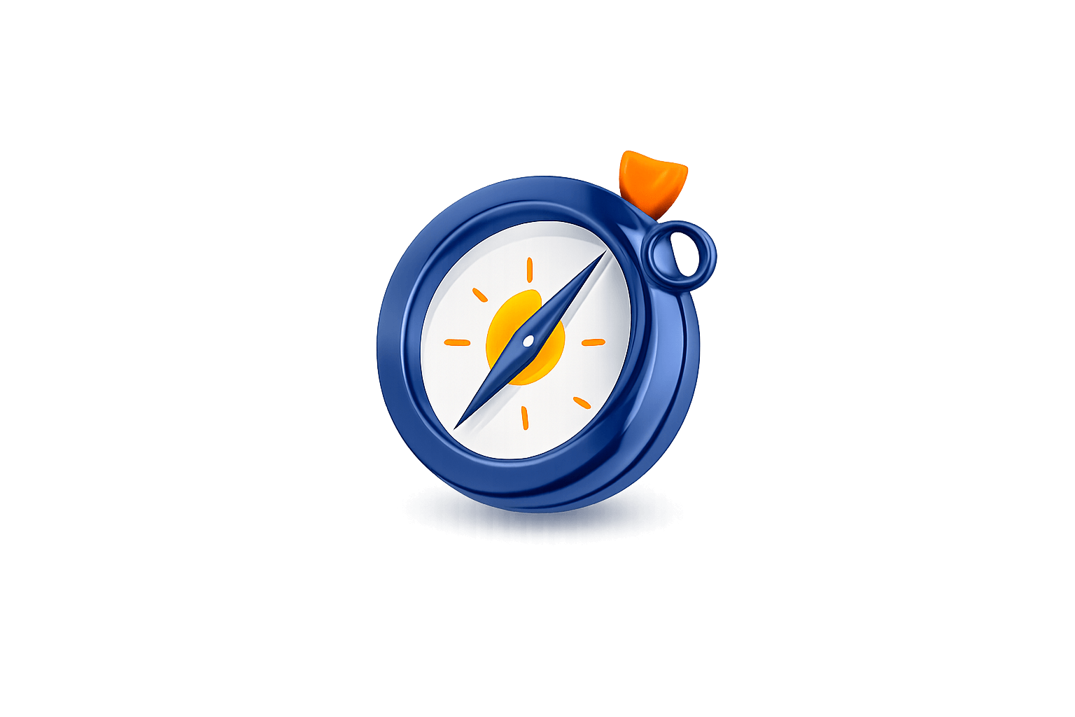 Pinguin Umzüge – Orientierung